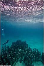 Jason de Caires Taylor