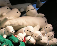 stuffed beluga whales at Vancouver Aquarium