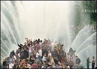 kurt cobain memorial