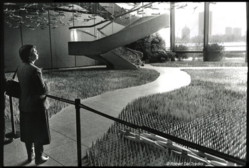 Amber Waves of Grain