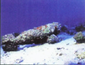 UXO on seabed