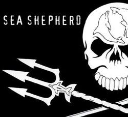 Sea Shepard