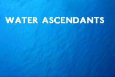 Water Ascendants